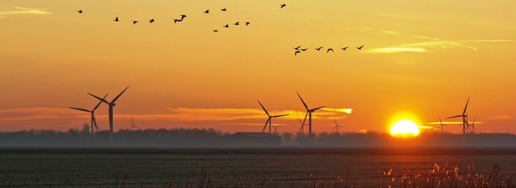 Aviva Investors close wind PPAs via Renewable Exchange Platform