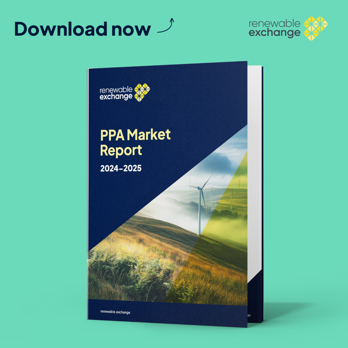 Renewable Exchange PPA Market Report 2024 to 2025